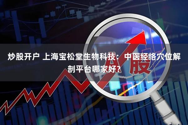 炒股开户 上海宝松堂生物科技：中医经络穴位解剖平台哪家好？