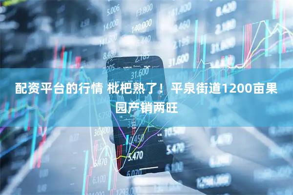 配资平台的行情 枇杷熟了！平泉街道1200亩果园产销两旺